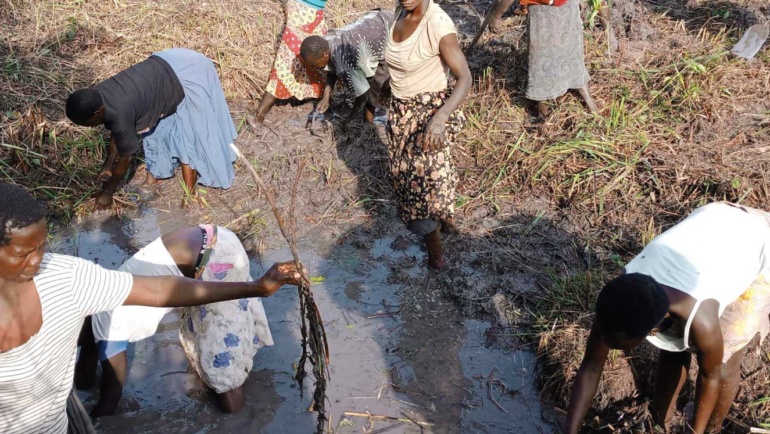 Give to Build The Community